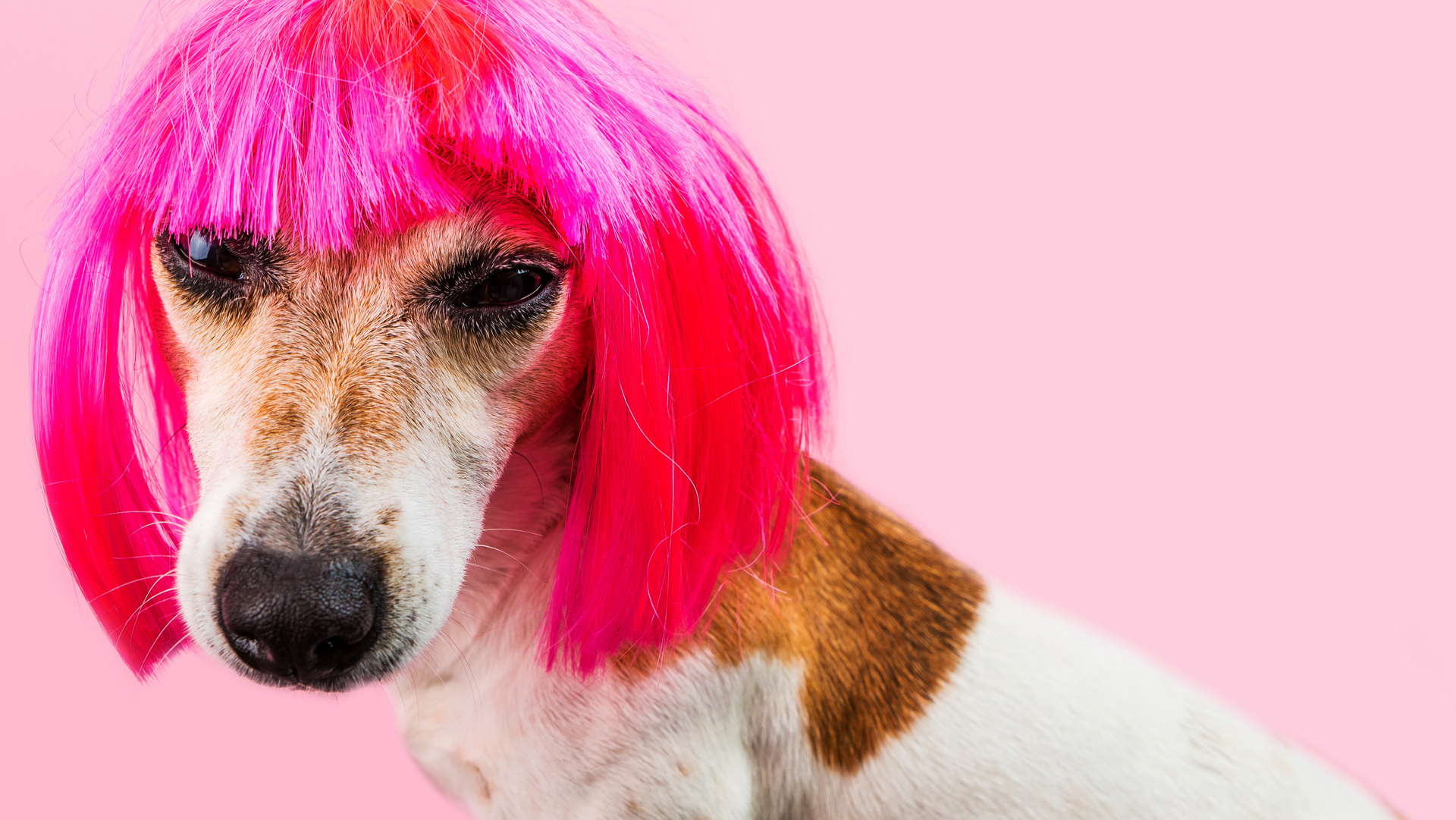 Your TV or Film Project