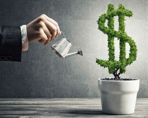 Questions from film investors