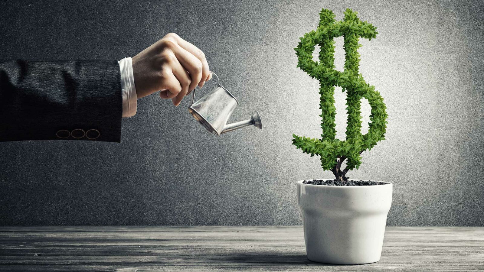 Questions from film investors