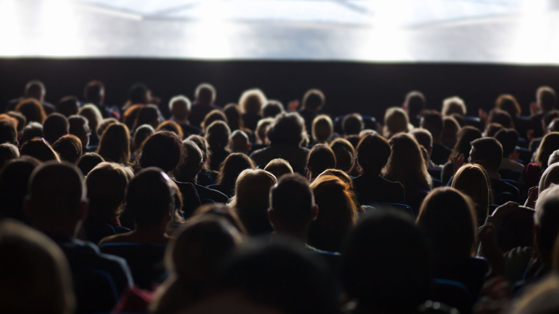 Attending a film festival
